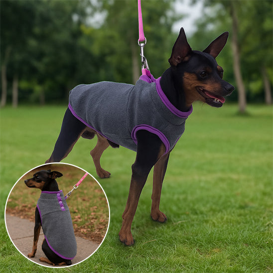 Manteau-pour-chien-impermeable-et-chaleureux