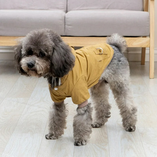 Manteau pour chien | Vêtement à capuche-Khaki