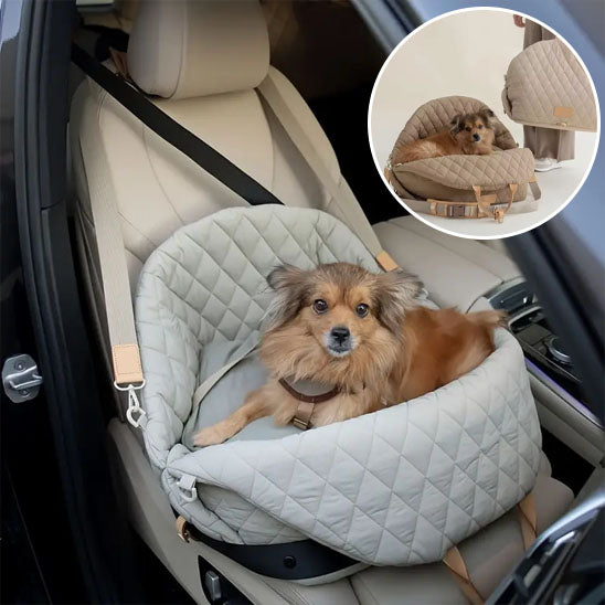 Sac-de-transport-chien-sac-à-mains-portable-siège-de-voiture-de-luxe-bulle