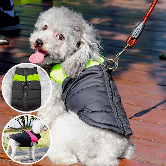 Manteau pour chien-veste rembourrée-veste verte