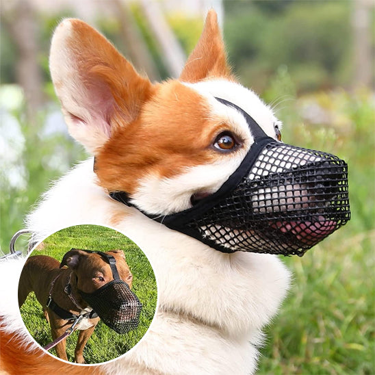 Muselière-chien-Confort-Secure