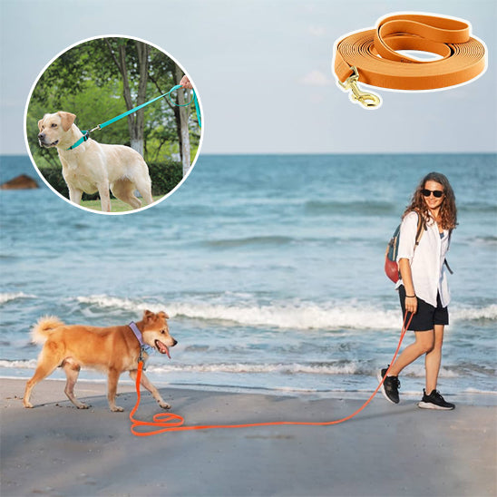 Longe-pour-chien-Robuste-&-Ajustable