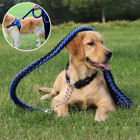 Laisse pour chien | Laisse forte tressée
