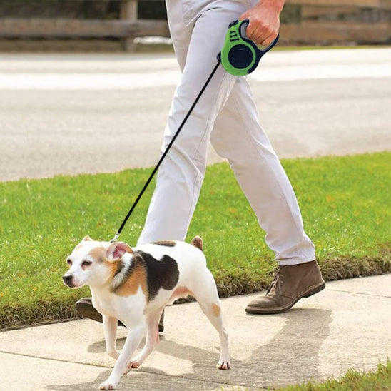Laisse-Rétractable-Dog-Leash-bulle-vert