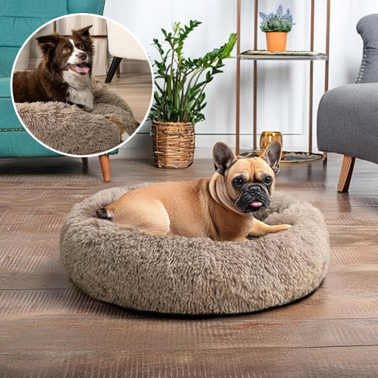 Lit en velours pour chien doux | Rond, Long, lavable - Marron rustique et bulle
