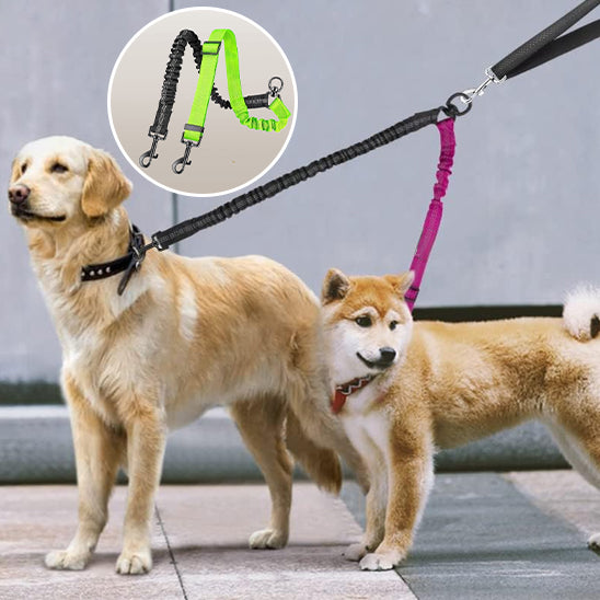 Laisse-double-pour-chien_Anti-enchevĂȘtrement