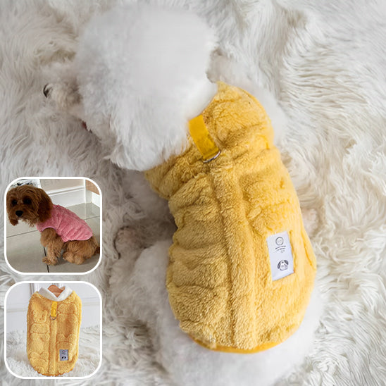 Manteau pour chien-Giphy-jaune