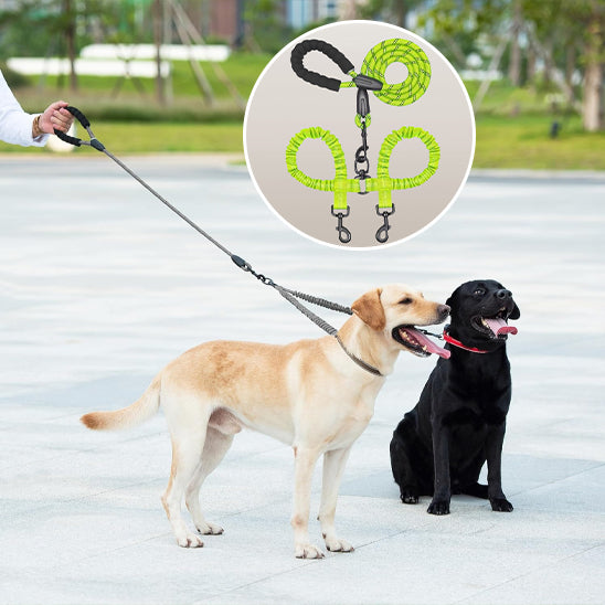 Laisse-double-extensible-vert-clair
