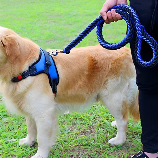 Laisse pour chien | Laisse forte tressée