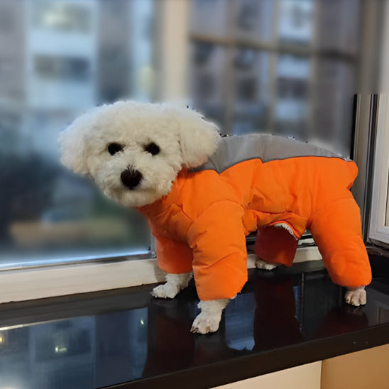 Manteau-chien-hivernal-orange