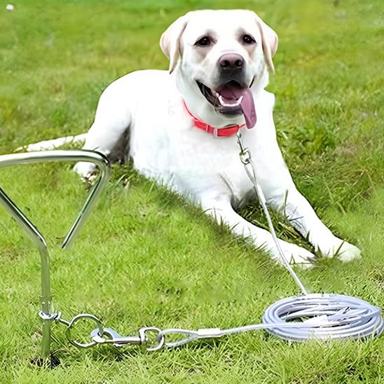 Laisse-pour-chien-SecurePet-30m