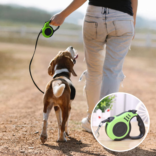 Laisse-Rétractable-Dog-Leash-bulle-vert
