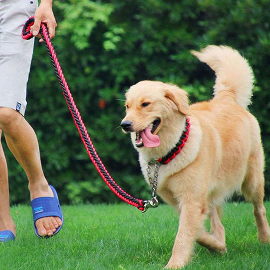 Laisse pour chien | Laisse forte tressée