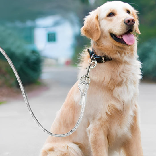 Laisse-pour-chien-SecurePet-30m