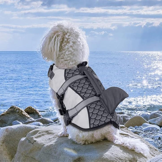 Gilet-de-sauvetage-chien-requin-gris