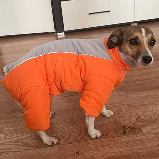 Manteau-chien-hivernal-orange