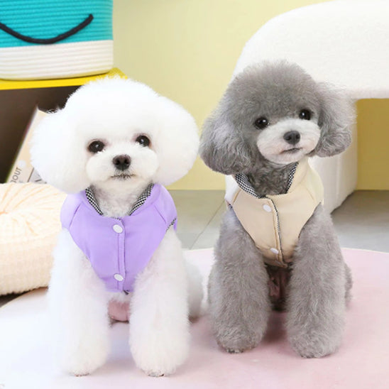 Manteau pour chien - deux chiens