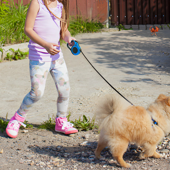 Laisse-Rétractable-Dog-Leash-fillette
