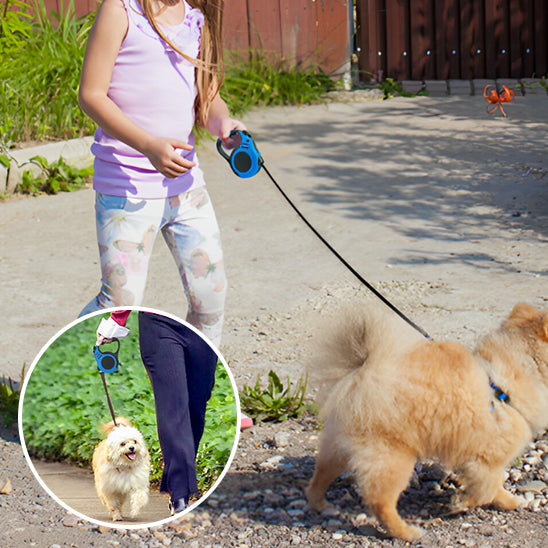 Laisse-Rétractable-Dog-Leash-bulle-fillette