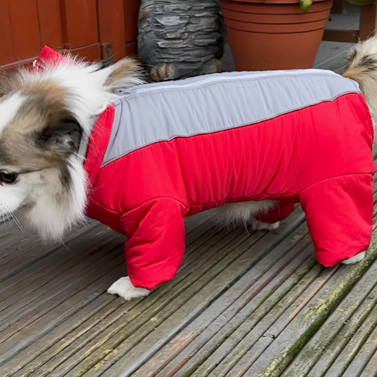 Manteau-chien-hivernal-rouge
