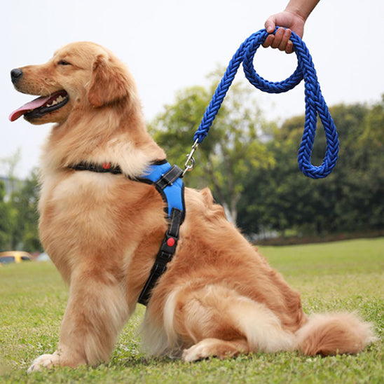 Laisse pour chien | Laisse forte tressée
