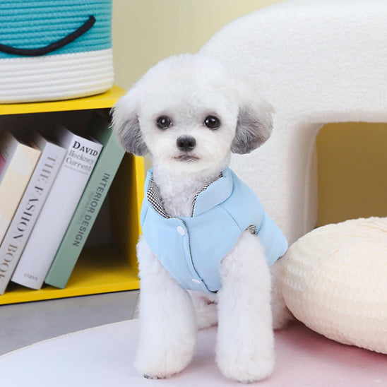 Manteau pour chien - bleu