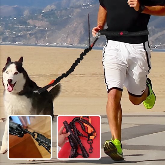 Laisse pour chien / Spécial Jogging™ - Chienspassionnes