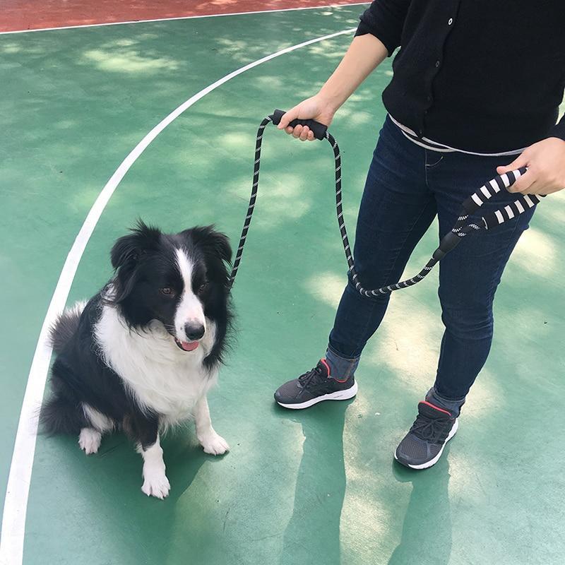 LaisseEduc™ - Corde en Nylon pour chien | Chien - Chienspassionnes