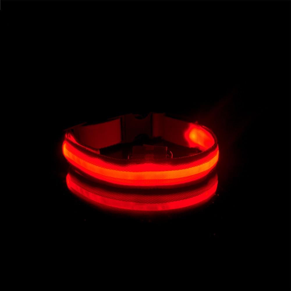 LedCollar™ - Collier à LED rechargeable pour chien - Chienspassionnes