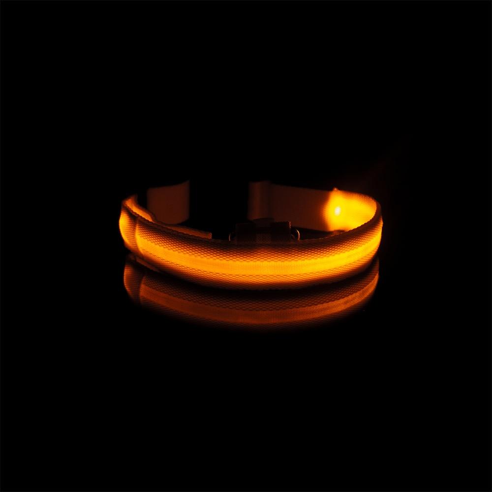 LedCollar™ - Collier à LED rechargeable pour chien - Chienspassionnes