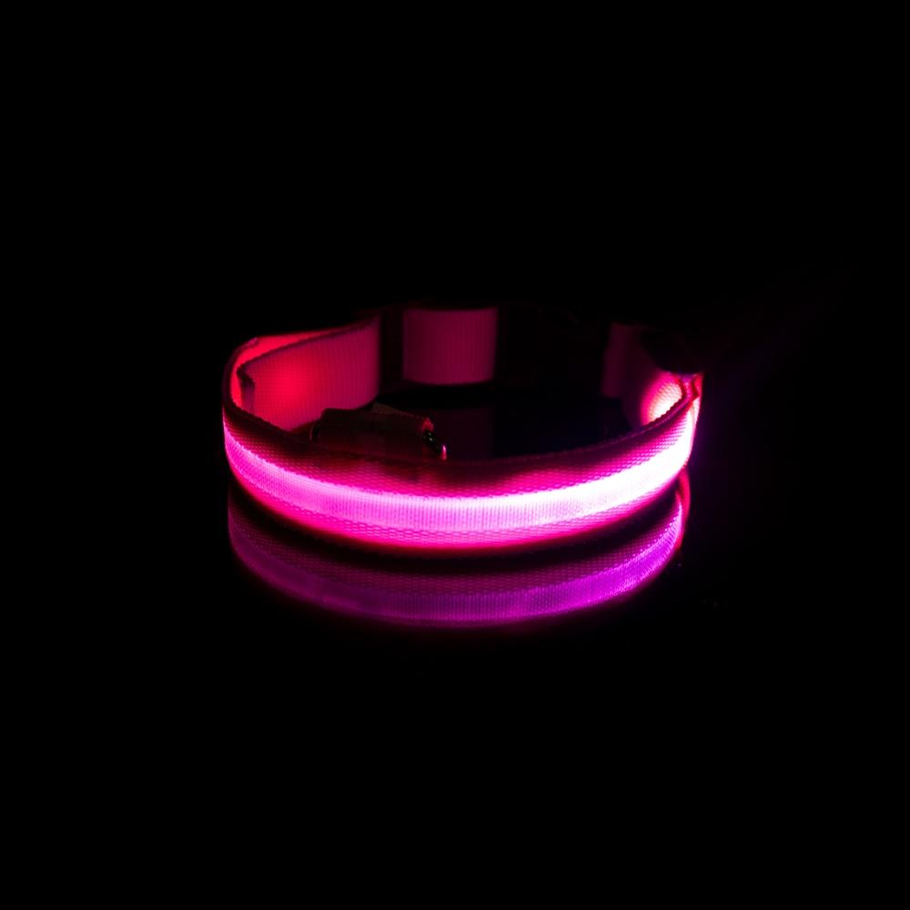 LedCollar™ - Collier à LED rechargeable pour chien - Chienspassionnes