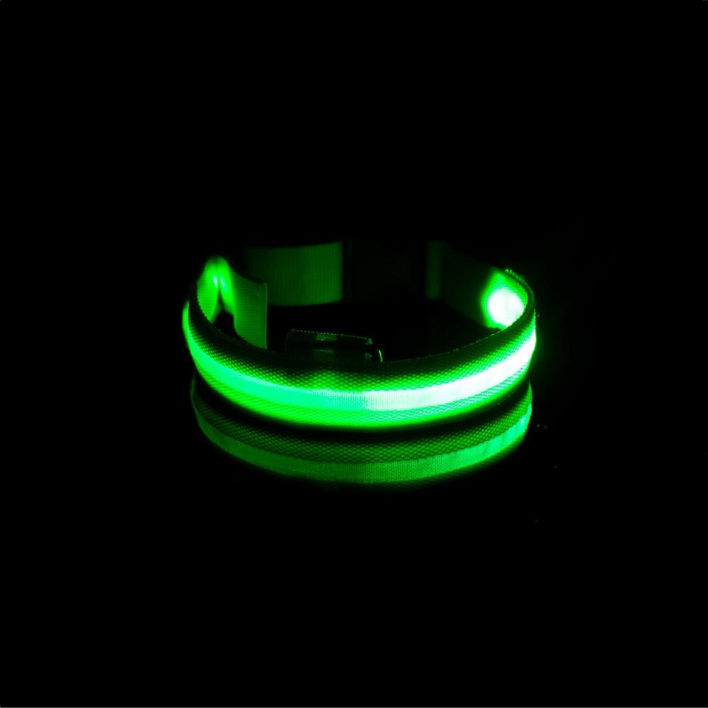 LedCollar™ - Collier à LED rechargeable pour chien - Chienspassionnes