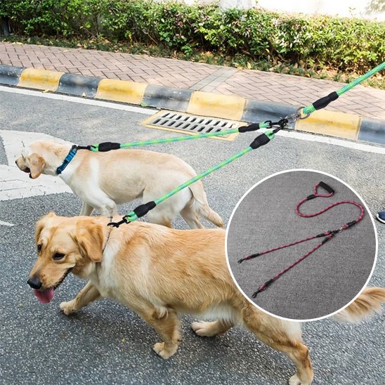 Laisse-double-pour-chien_PetControl-Y