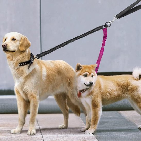 Laisse-double-pour-chien_Anti-enchevĂȘtrement