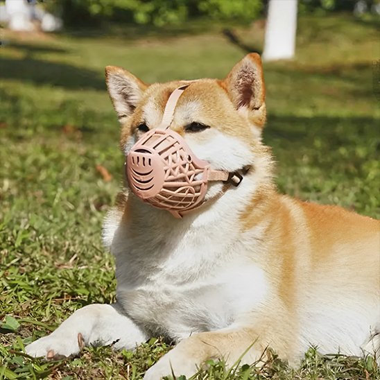 Muselière pour chien | Comfort Secure