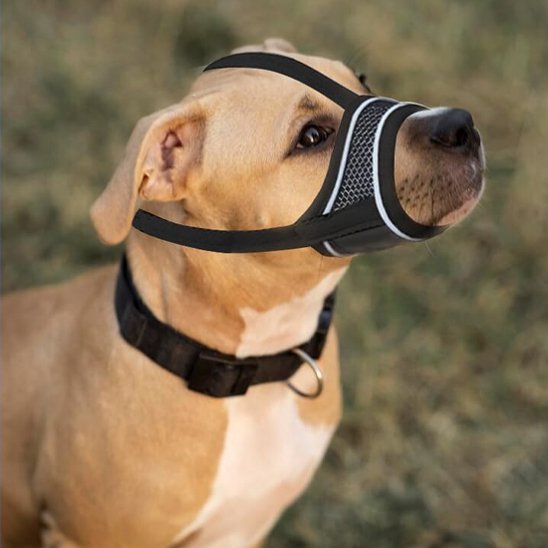 Muselière pour chien | Confort Sécurité