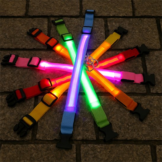 Collier-lumineux-pour-chien