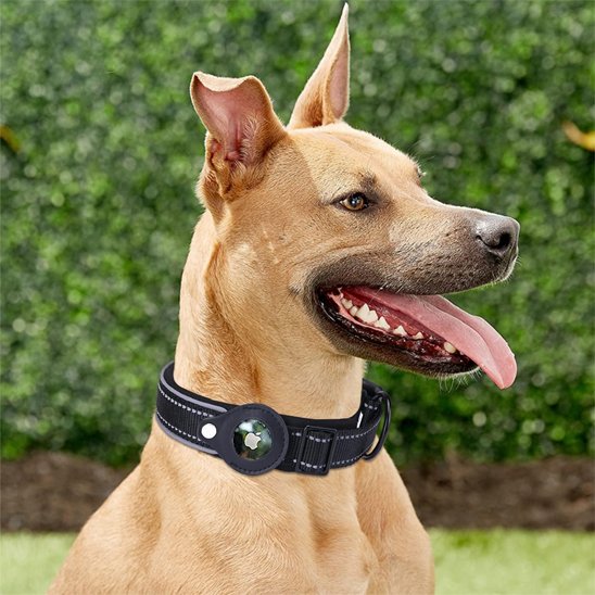 Collier-gps-chien-noir