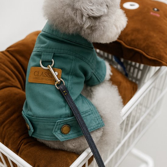 Manteau chien | Imperméable Douillet