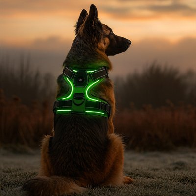 Harnais-chien-Confort-sécurisé-led