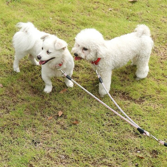 Laisse-double-pour-chien_PetControl-Y