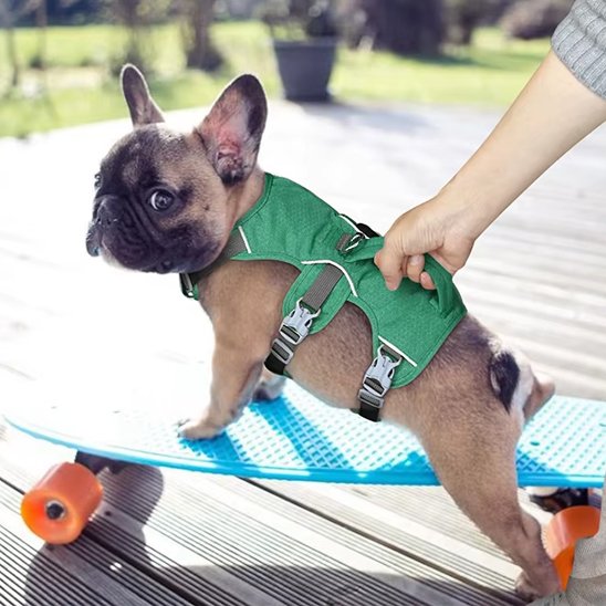 Harnais chien | ComfortSecure