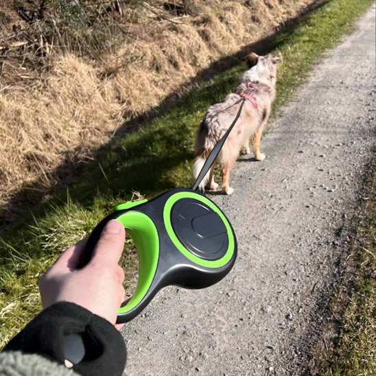 Laisse-pour-chien-enrouleur-rétractable