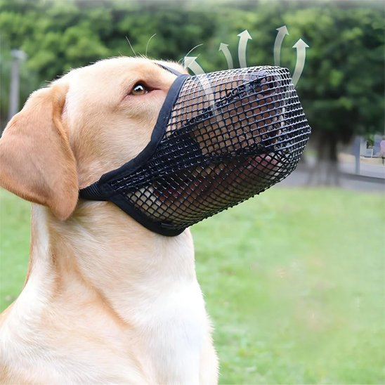 Muselière-chien-Confort-Secure