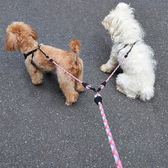 Laisse-double-pour-chien_PetControl-Y