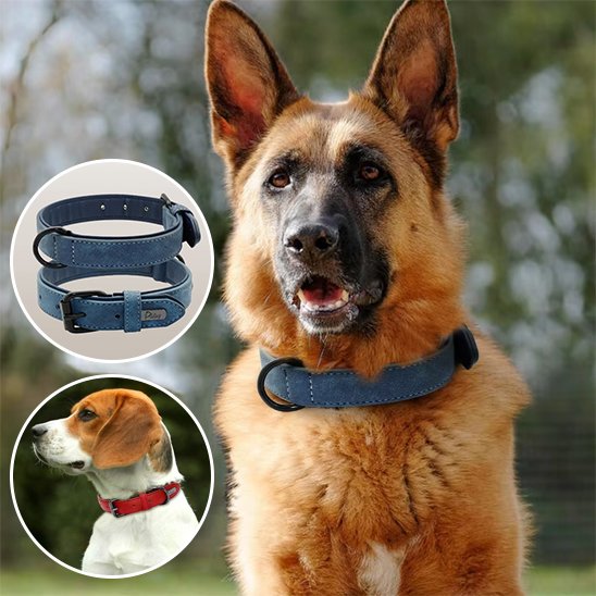 Collier-pour-chien-Premium-Secure