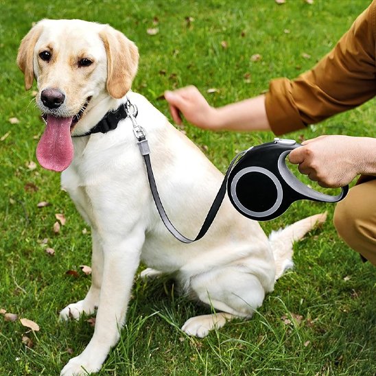 Laisse-pour-chien-enrouleur-rétractable