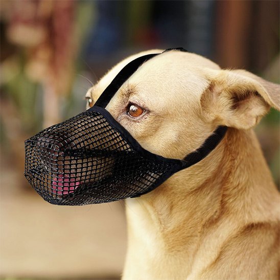 Muselière-chien-Confort-Secure