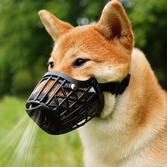 Muselière pour chien | Comfort Secure