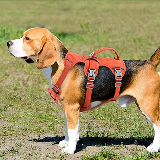 Harnais chien | ComfortSecure